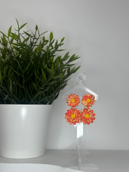 Collection Coralia