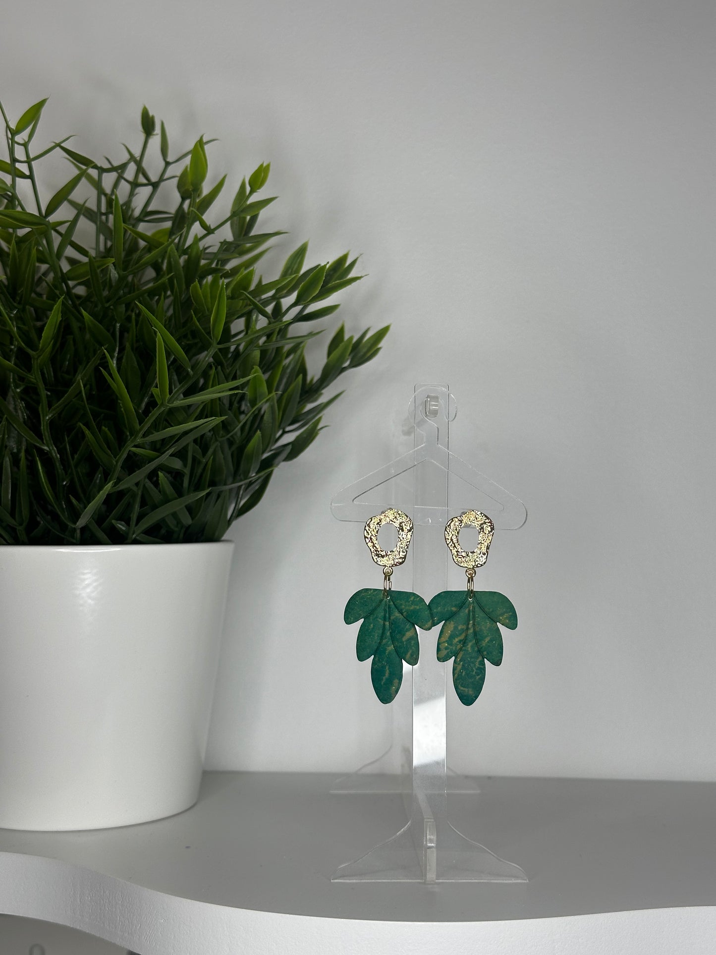 Collection botanica